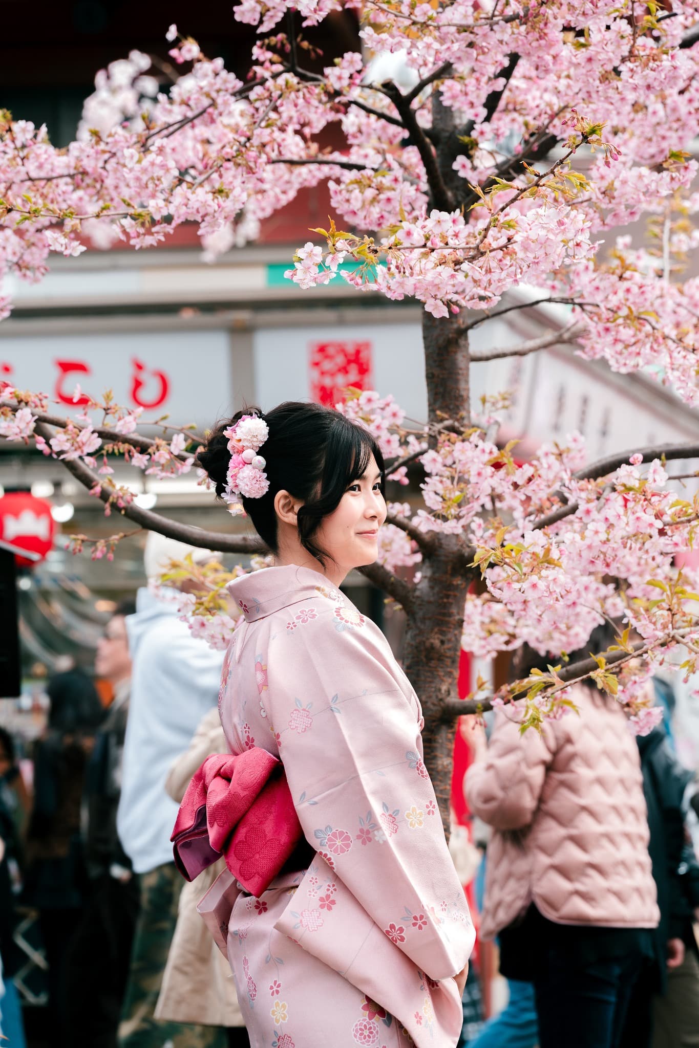 choosing-the-best-season-for-photography-in-japan