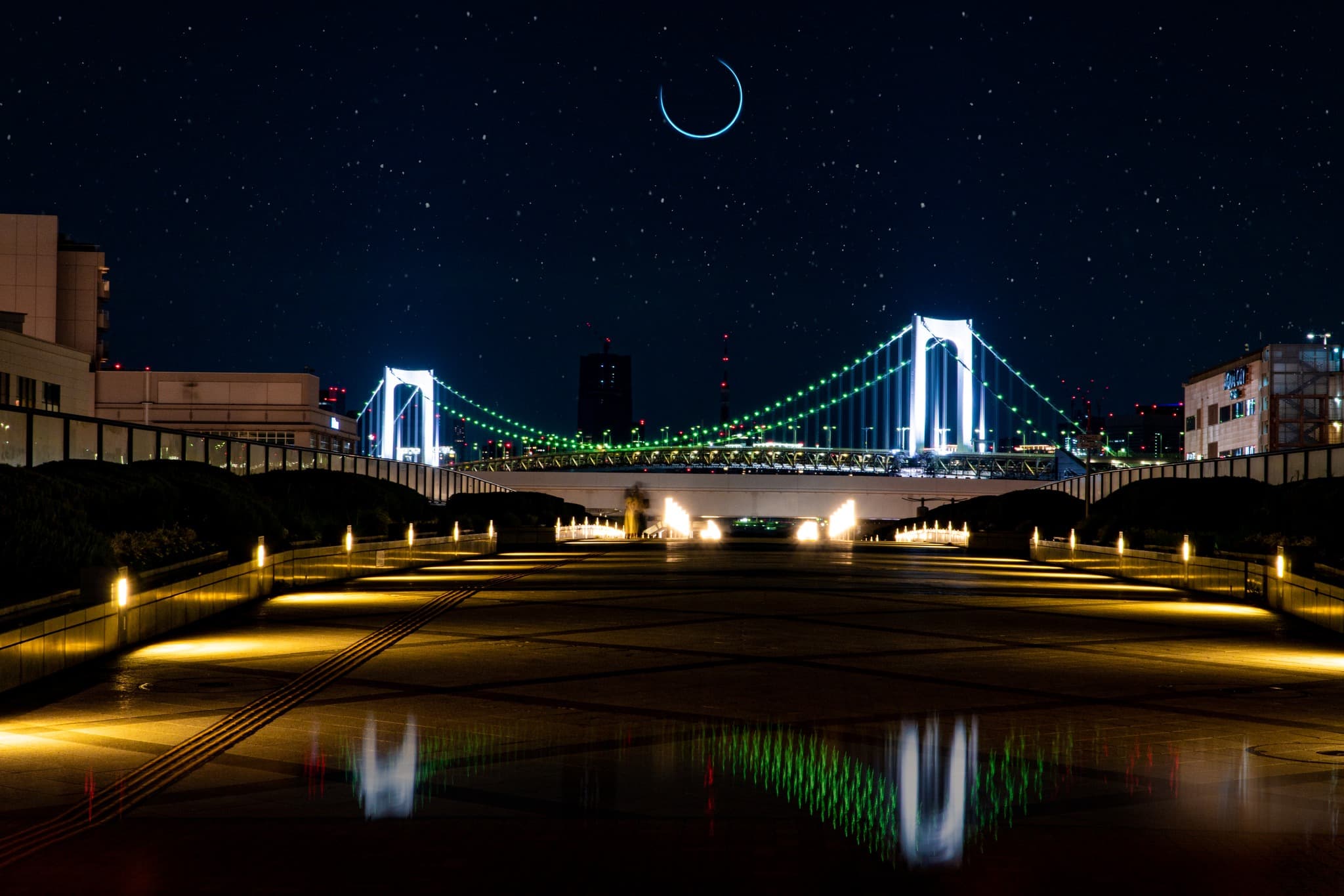 how-to-plan-a-surprise-proposal-in-tokyo-4